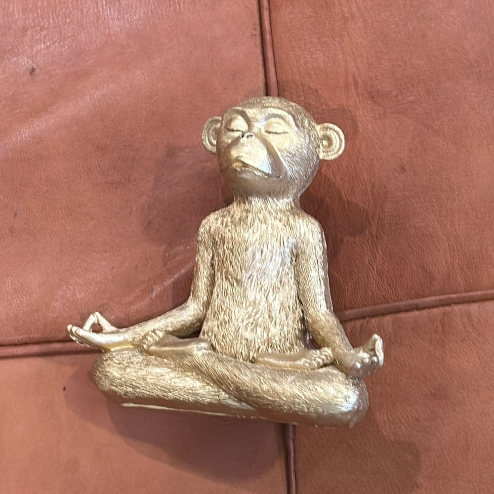 Meditating Monkey